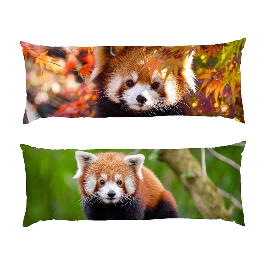 Пухнаста червона панда Fluffy red panda