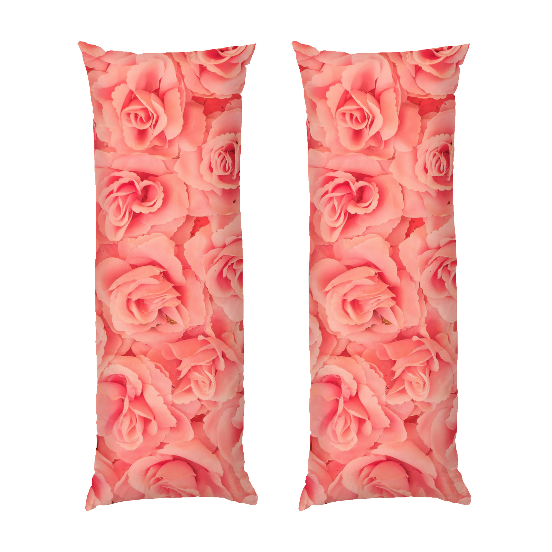 Рожева троянда Гарна квітка Pink rose A beautiful flower