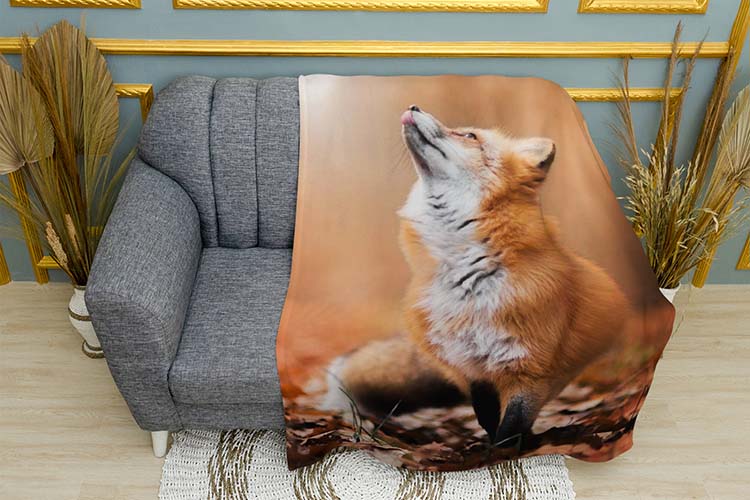 Руда лисиця Чудовий ліс Red fox A wonderful forest