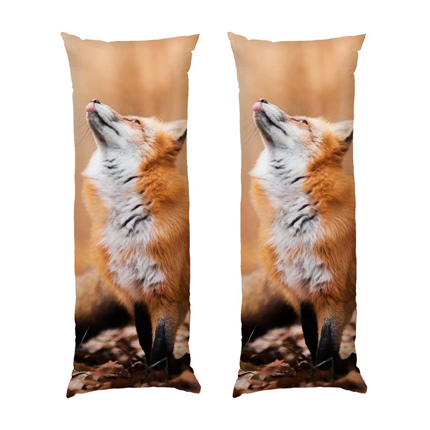 Руда лисиця Чудовий ліс Red fox A wonderful forest
