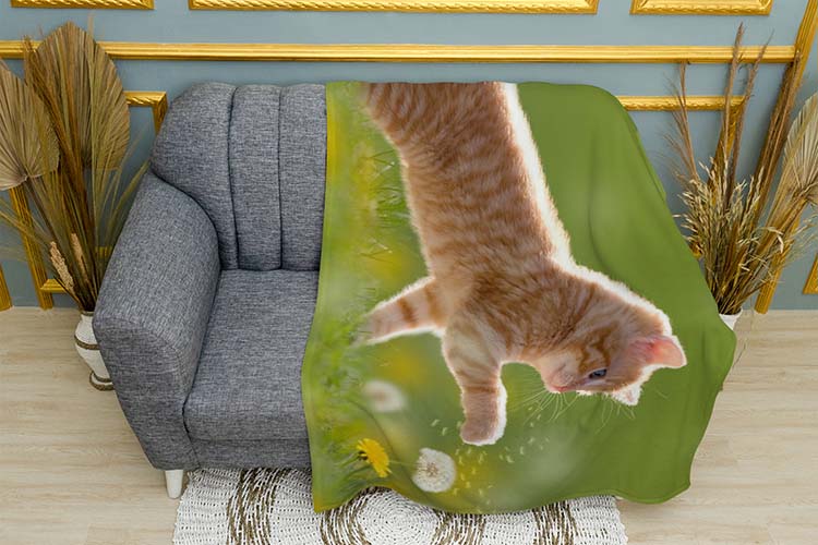 Руде кошеня Кульбаба Red kitten Dandelion