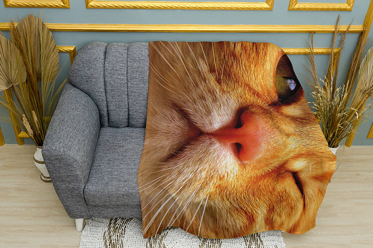 Рудий кіт підморгує Red cat winks