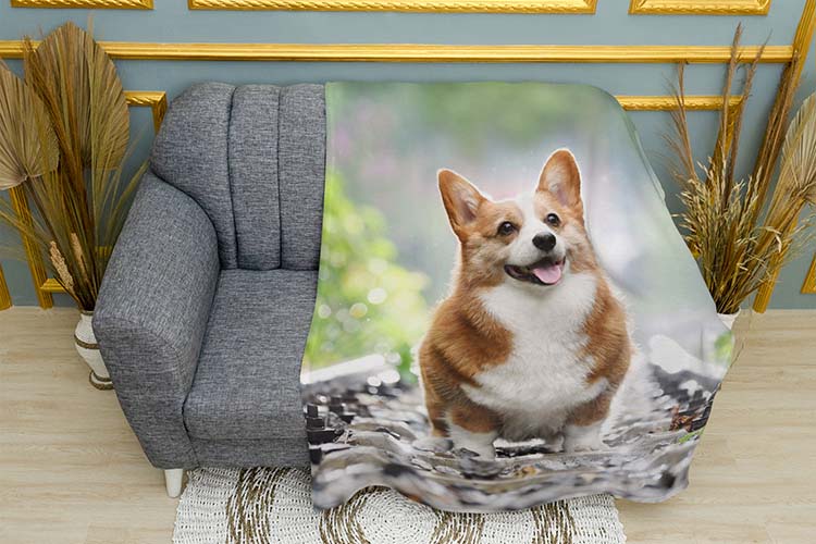 Щасливий коргі Happy corgi