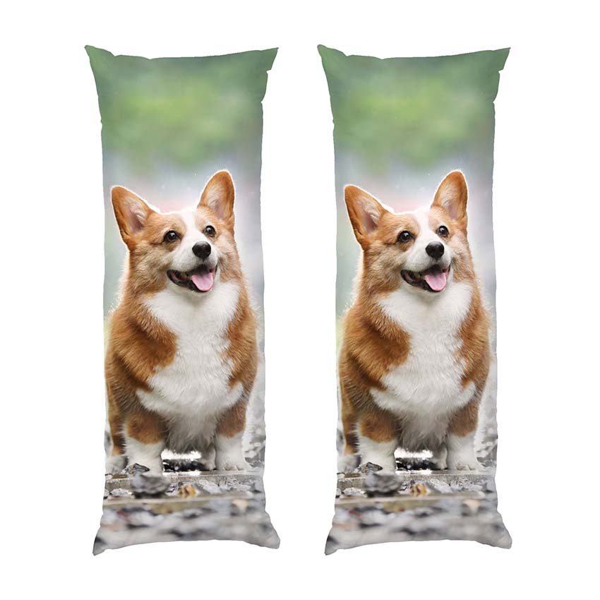 Щасливий коргі Happy corgi