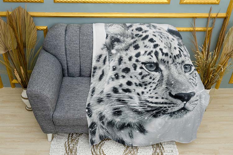 Сніговий барс Буря Snow leopard Storm