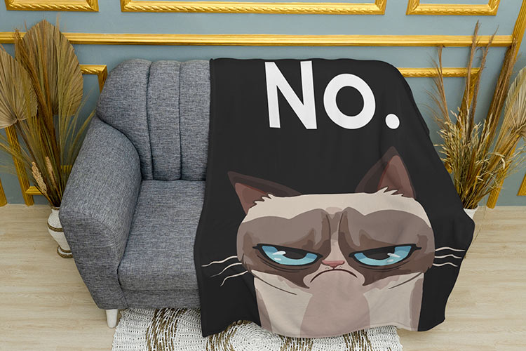 Сварливий Кіт Ні Мем Grumpy cat No Mem