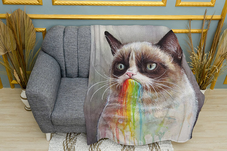 Сварливий Кіт Веселка Мем Grumpy cat Rainbow Mem