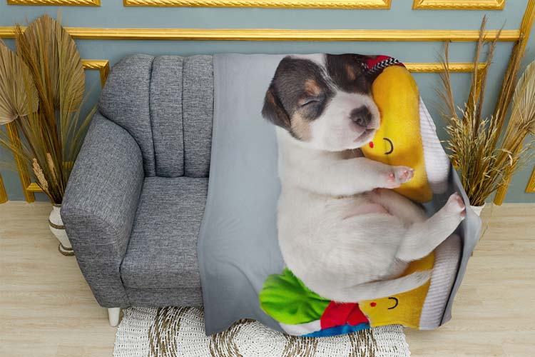 Цуценя Солодкий сон Puppy Sweet dream