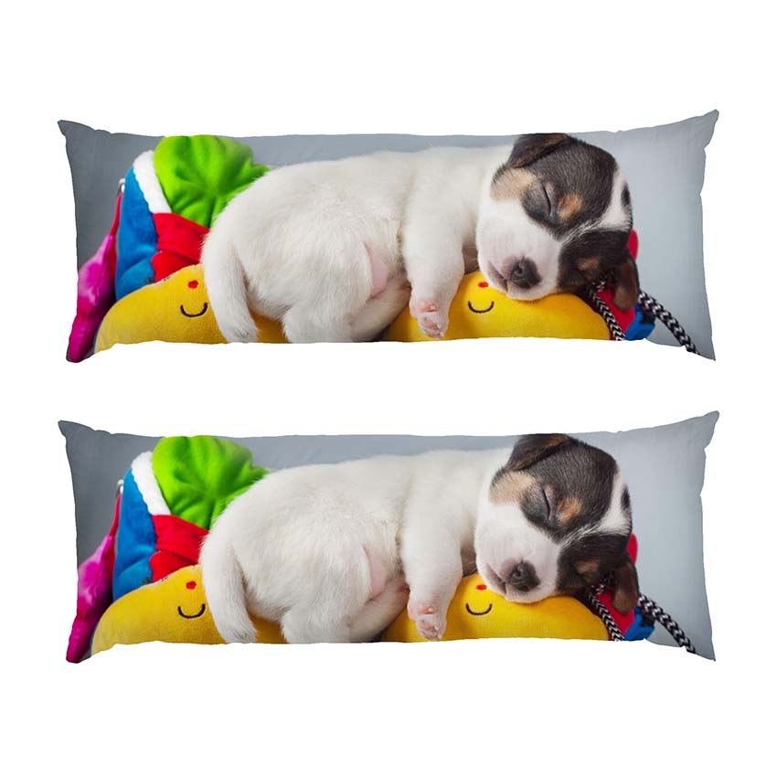 Цуценя Солодкий сон Puppy Sweet dream