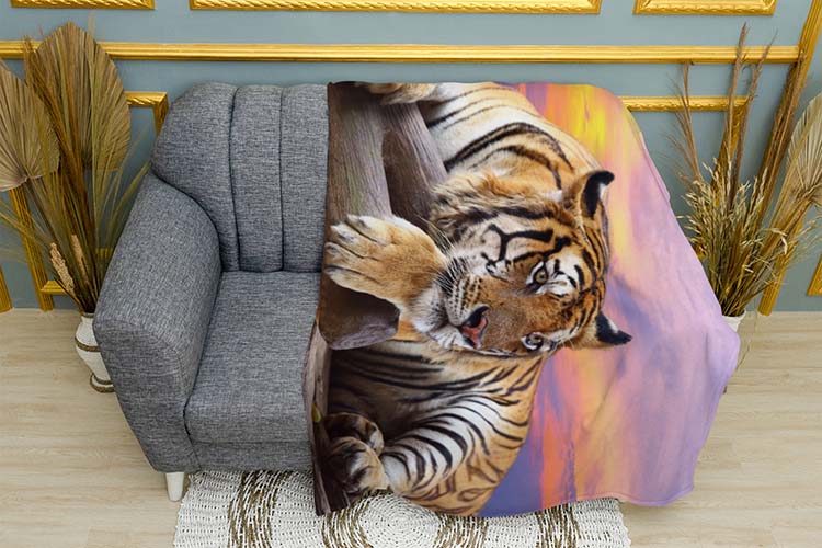 Тигр Захід сонця Tiger Sunset