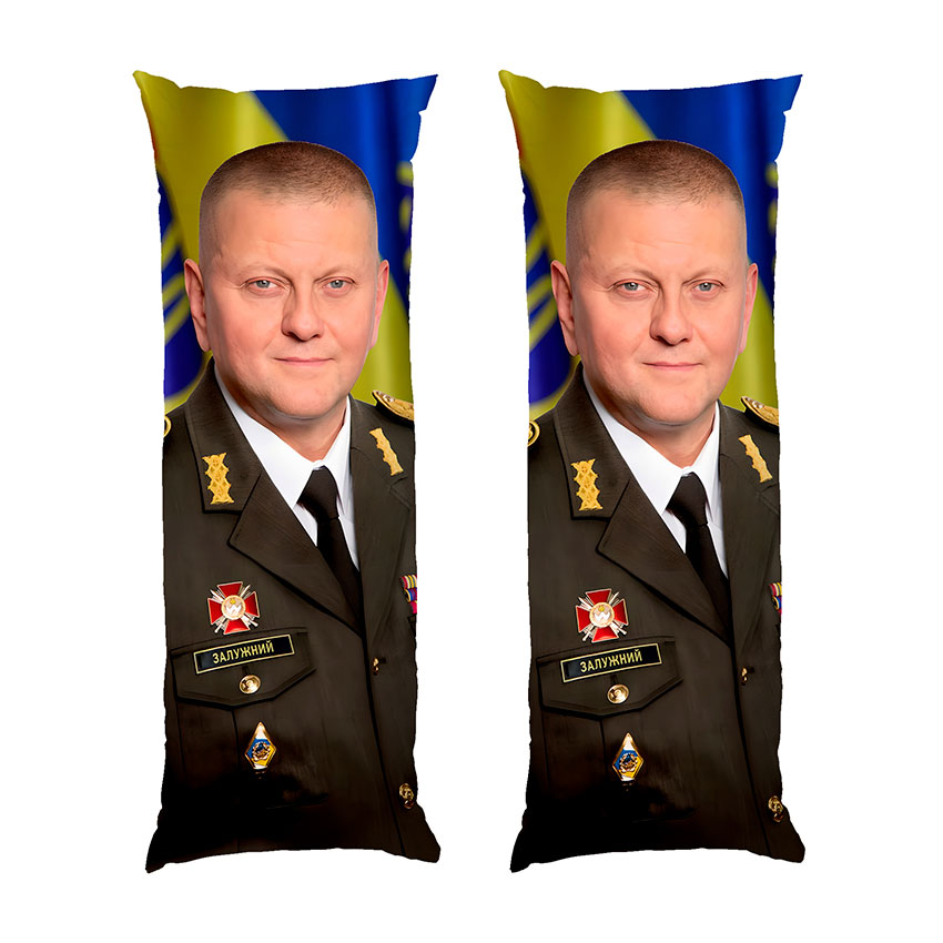 Валерій Залужний Портрет