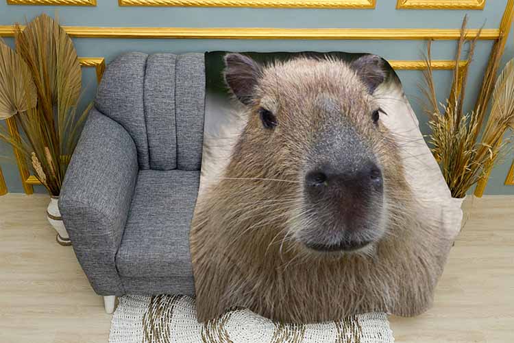 Велика капібара Large capybara