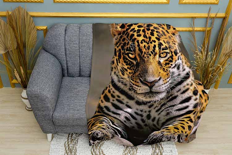 Великий леопард Big leopard