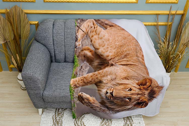 Великий лев Полювання Big lion Hunting