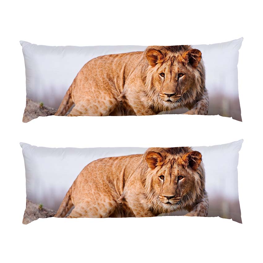 Великий лев Полювання Big lion Hunting