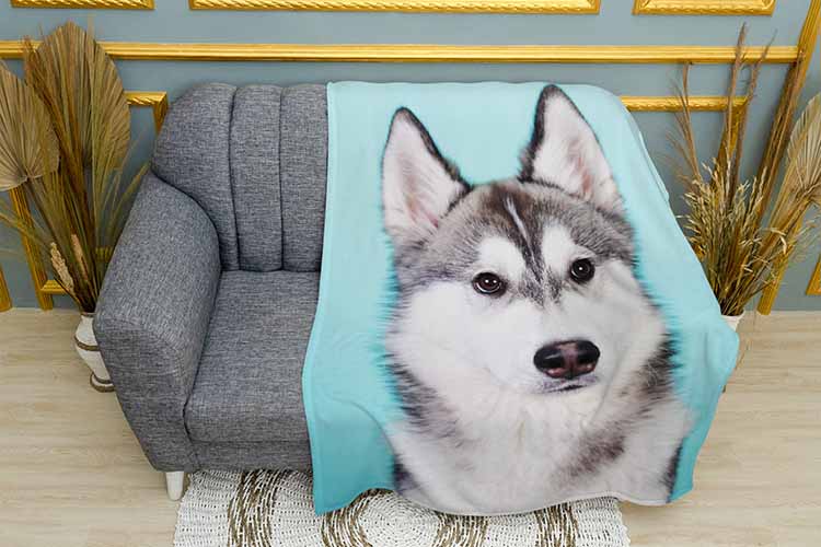 Великий маламут Big malamute