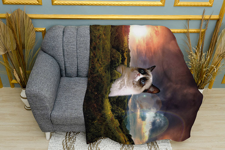 Великий сварливий Кіт Мем Big grumpy cat Mem