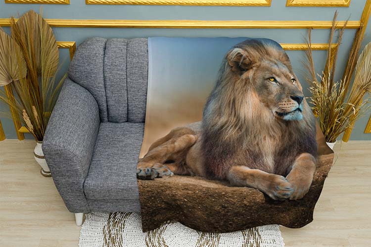 A big and proud lion A big and proud lion