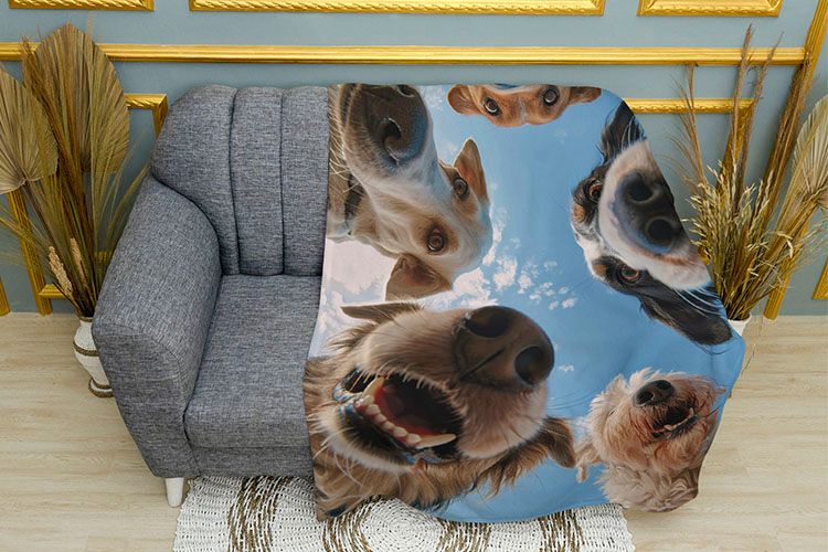 Веселі песики Funny dogs