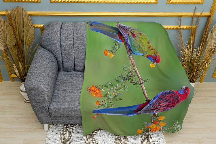 Яскраві папуги Джунглі Bright parrots Jungle