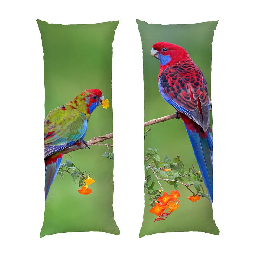 Яскраві папуги Джунглі Bright parrots Jungle