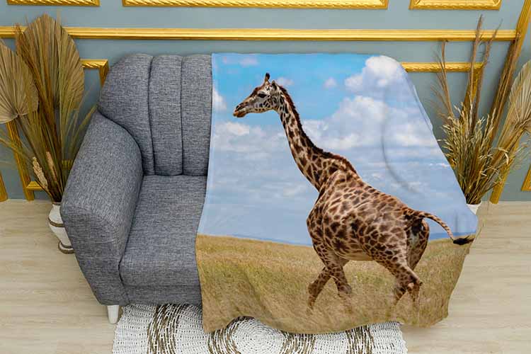 Жираф в Мадагаскарі A giraffe in Madagascar