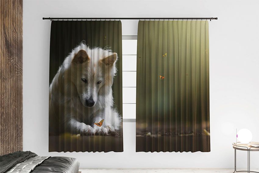 Белая собака и бабочка White dog and butterfly