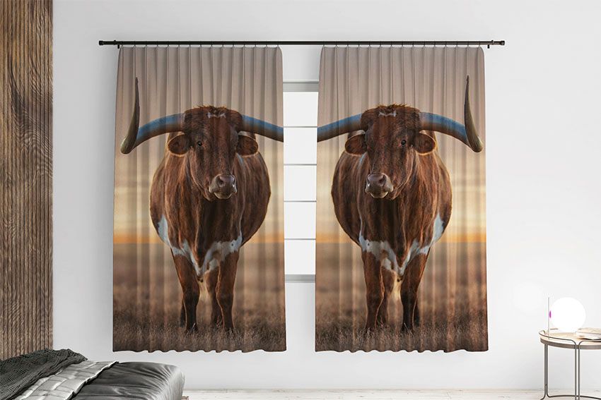 Бык с большими рогами Bull Big horns