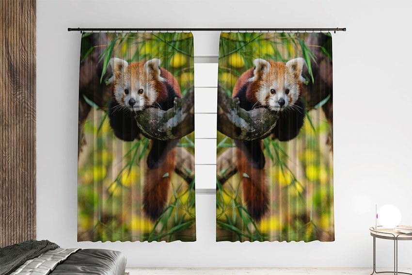 Красная панда. Отдых на дереве Red panda Rest on a tree
