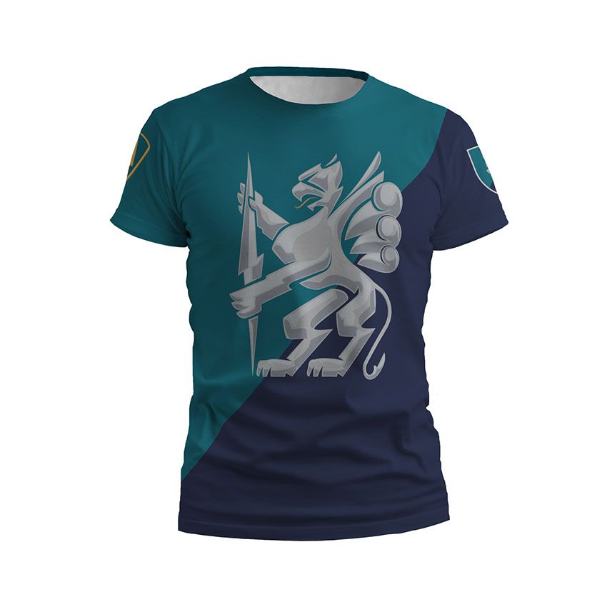 Чоловіча футболка спортивна 501-й окремий батальйон морської піхоти Морська Гвардія Marine Guard