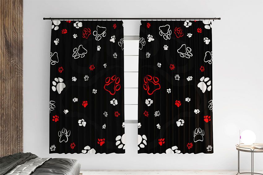Чорні лапки Black paws