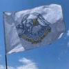 flah-sso-ukrayny-svetlo-seryi.jpg