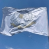 flah-sso-ukrayny-svetlo-seryi1.jpg