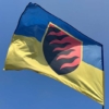 flah-vsu-55-oabr-otdelnaia-artylleryiskaia-bryhada-syne-zheltyi1.jpg