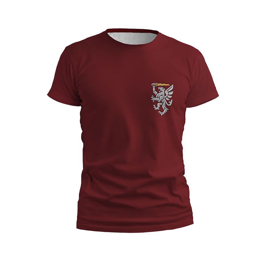 Футболка чоловіча 80-та окрема десантно-штурмова бригада Крилаті воїни Winged warriors бордовий