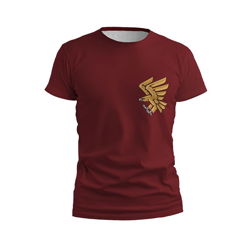 Футболка чоловіча 95-та окрема десантно-штурмова бригада Крилаті воїни Winged warriors бордовий