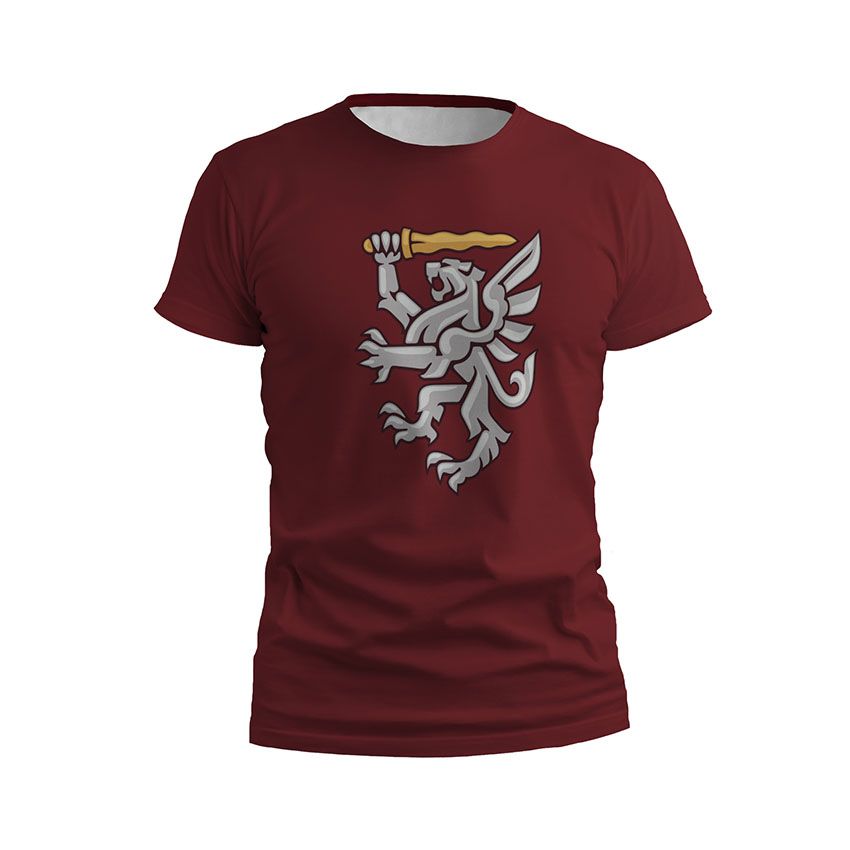 Футболка чоловіча спортивна 80-та окрема десантно-штурмова бригада Українська сталь Ukrainian Steel