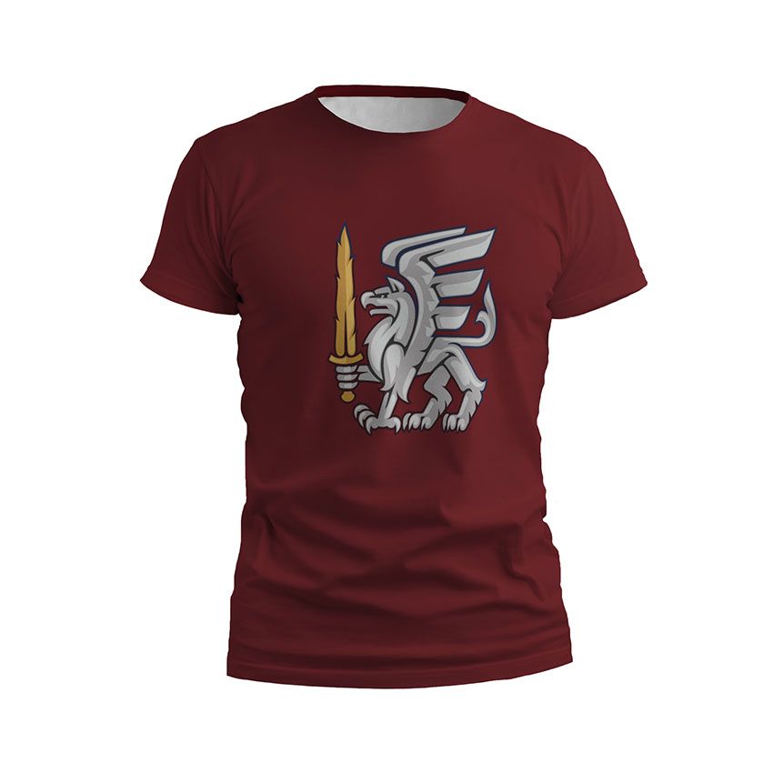 Футболка чоловіча спортивна 81-ша окрема аеромобільна бригада Українська сталь Ukrainian Steel