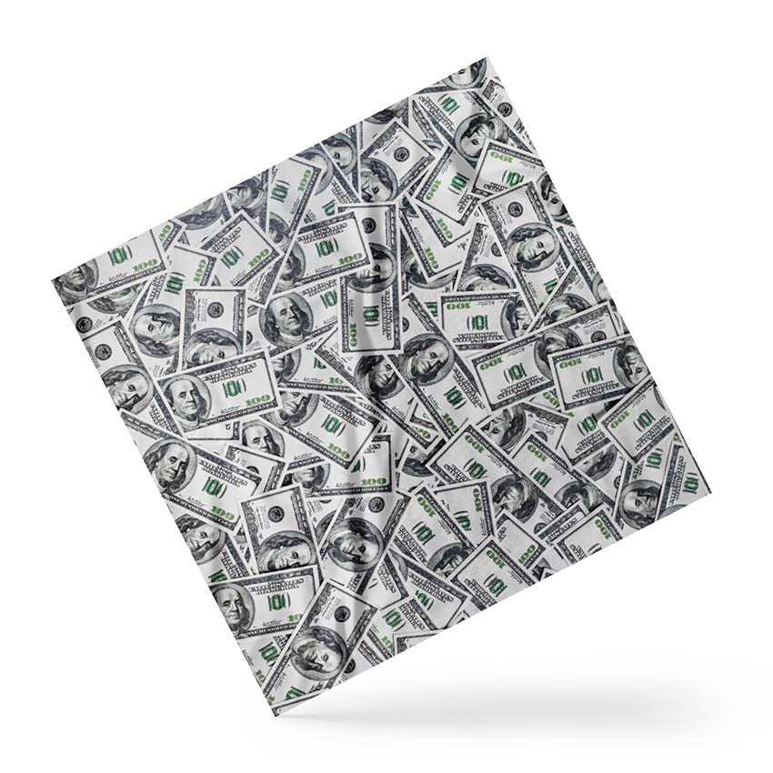 Money Pattern Scarf