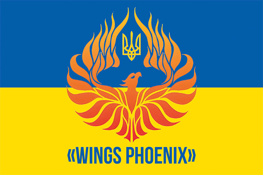 Прапор волонтерської організації «Крила-Фенікса» синьо-жовтий