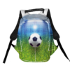 miach-na-futbolnomu-poli.-ball-on-a-football-field
