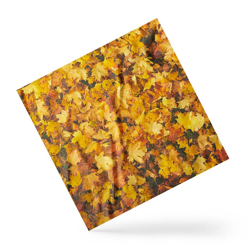Хустка Опале осіннє листя Fallen autumn leaves