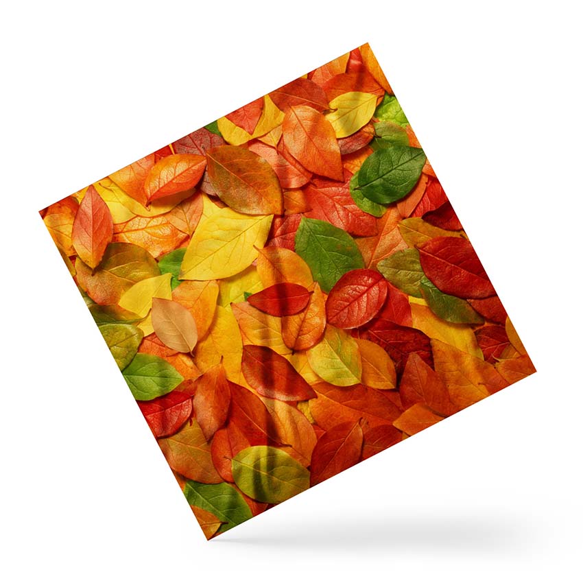 Хустка Осіннє листя Autumn leaves