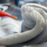 pled-frozen.-olaf-and-friends1-1.jpg