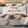 pled-good-morning.jpg