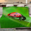 pled-ladybug-1.jpg