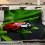 pled-ladybug.jpg