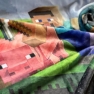 pled-minecraft.-main-characters1.jpg