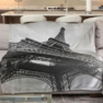 pled-paris.-la-tour-eiffel.jpg