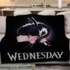 pled-wednesday.-cat.jpg